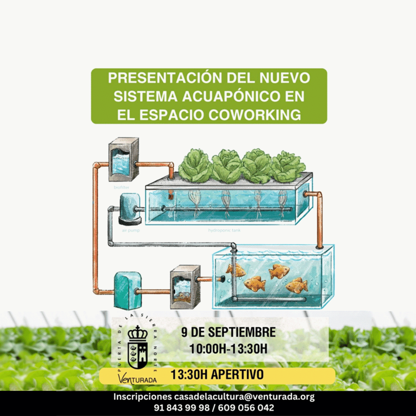 Evento Taller Jardines Verticales
